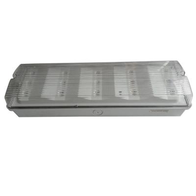 A superfície do teto montou a luz de emergência IP65 impermeável 50Hz/60Hz não mantidos