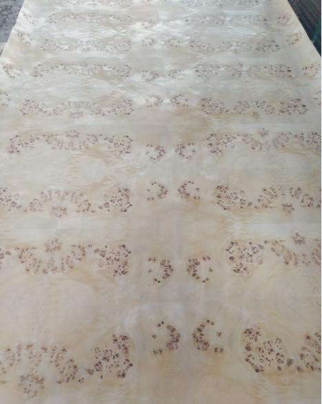 Mappa Burl Paper Backed Veneer | Paper Backed Poplar Burl Veneer Sheets