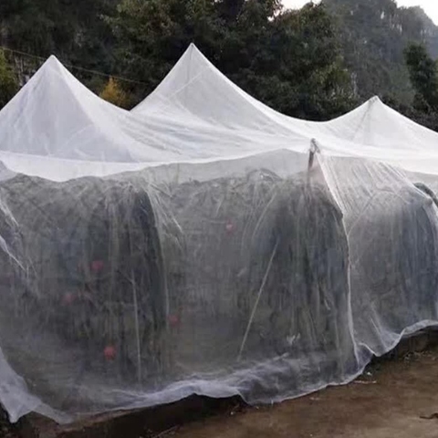 40 Mesh Plastic Insect Screen  For Vegetables And Fruits  