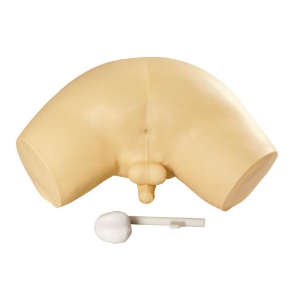 Prostate examination simulator / Clinical simulation with invasive cancer