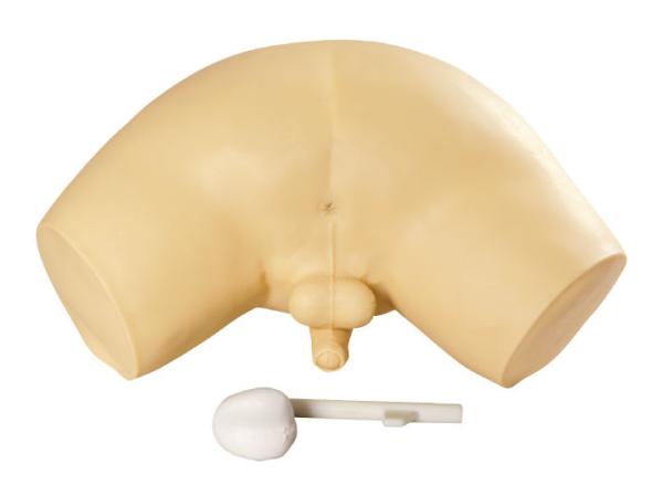 Prostate examination simulator / Clinical simulation with invasive cancer