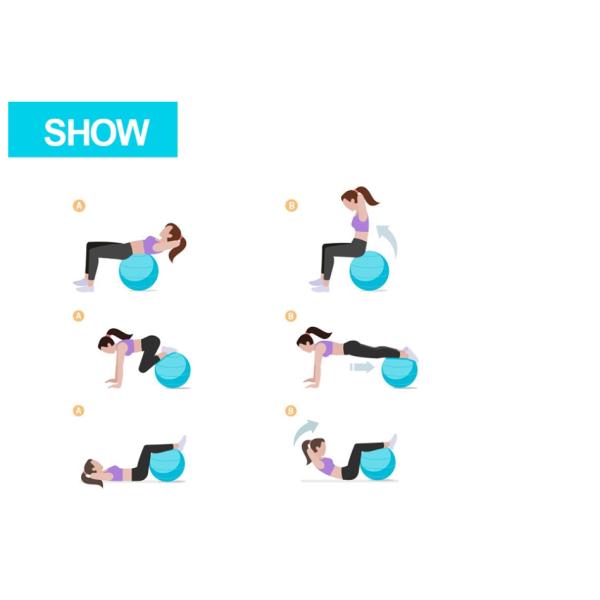 Soft PVC Anti Burst Gym Ball Bear 1000lb Weight Improve Balance Core Strength