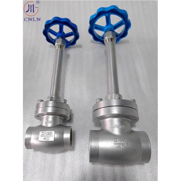Manual Stainless Steel Low Temperature Globe Valve DN25 For LNG/LOX/LN2/LAR/LCO2