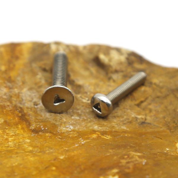 Industrial Custom Anti Theft Screw Stainless Steel Safety Fasteners