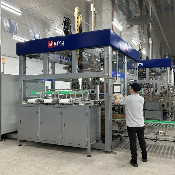 Drop Type Pouch Case Packer Machine Automatic Packaging Machinery
