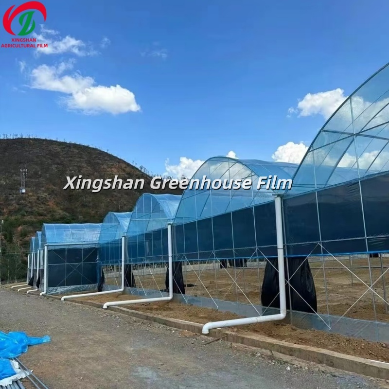 PO Greenhouse Film UV Resistant Polyolefin Greenhouse Plastic Film