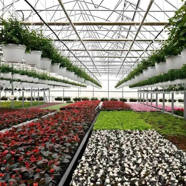 Polycarbonate Venlo Greenhouse for Flower With Shading Systems