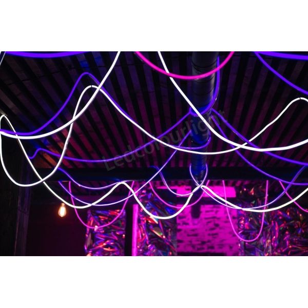 Black Silicone D25mm LED Neon Strip 360° Full Emitting DMX RGB Neon Tube Light