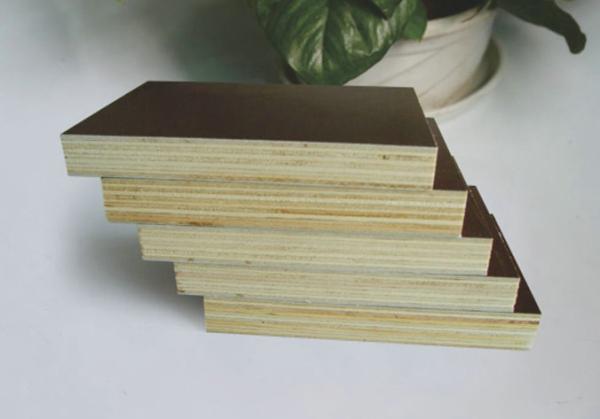 Film faced plywood specifications 1220x2440mm, 1250x2500mm, Thickness 9mm, 12mm, 15mm,18mm,21mm etc