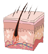 Самый лучший прибор EpiMED- красотки удаления волос цены SHR