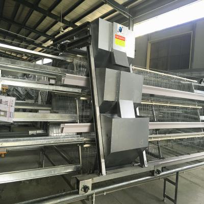 430x450x410mm gaiola da camada de 3 séries, equipamento de cultivo da camada de Soncap