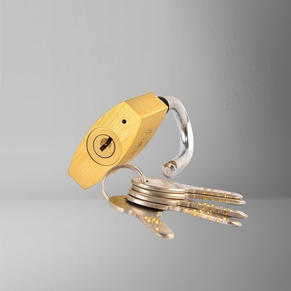Rarlux Waterproof Ring Solid Padlock High Quality Candado Security Brass Padlock With Computer Key in Bulk 40 50 60 70mm