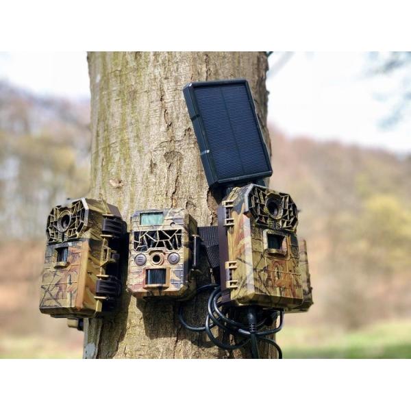 Ультракрасные батареи камеры 10MP AA следа звероловства промежутка времени СИД инфракрасн