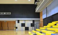 Carreaux de plafond RAL7021 Panneaux d'isolation acoustique en aluminium composite microportexé PVDF noir