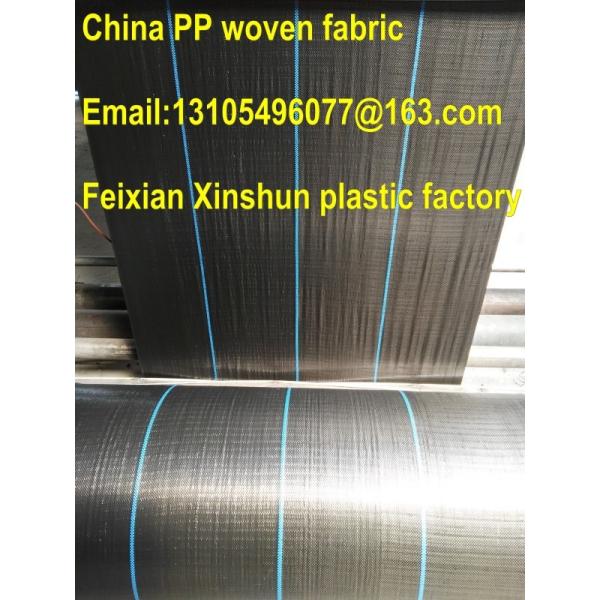 100% PP agricultural mulch film /weed barrier/pp weed control mat/ weed stop pp ground cover