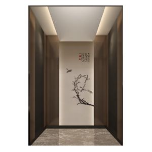 Небольшой подъем 1 - 5m/s 450 - 1600Kg лифта виллы дома Hoistway