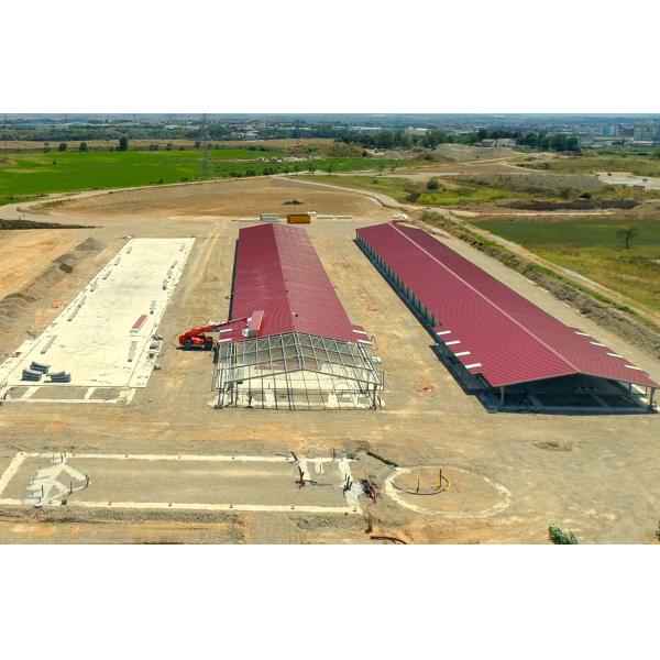 Покрашенные изготовленные коровьи сараи Стальная конструкция Конструкция для конюшен