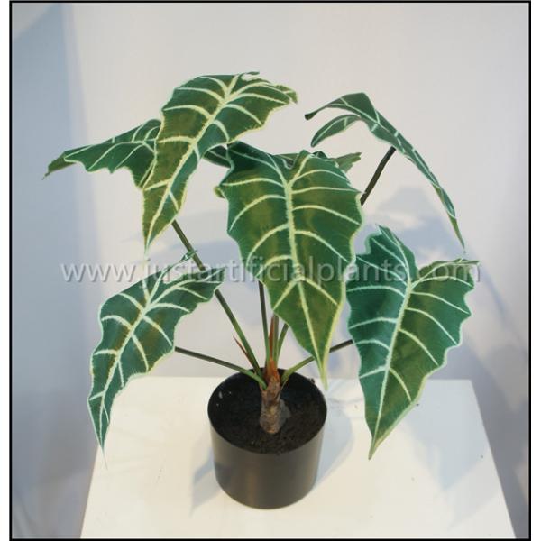 Дом Арум итальянца Фаукс искусственный засаживает дружелюбное живых зеленых листьев эко-