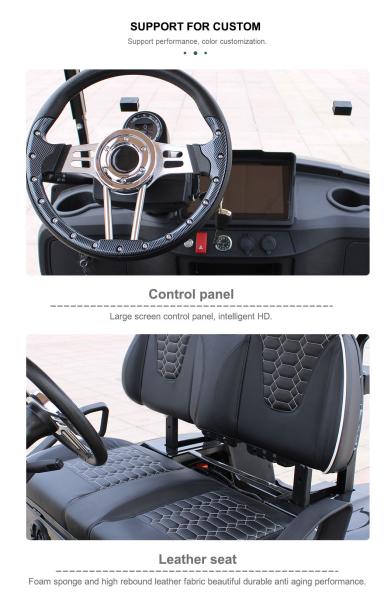 Street Legal 48V 150 AHLithium Battery Solar 4Seaters Off Road Electric S Golf Cart Buggy dot windshield