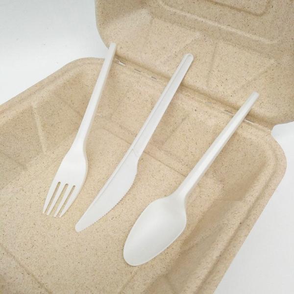 Eco-Friendly PLA Tableware Disposable Customized Logo CPLA Biodegradable Cutlery Set