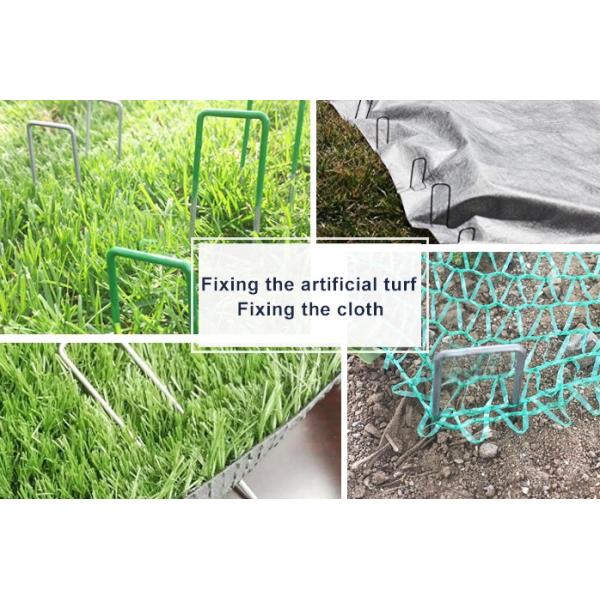 тип изолированный штапель зеленой краски стальной у 175мм для фиксируя ландшафта сада