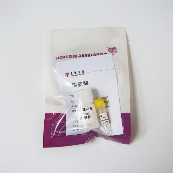 150ul 300ul Lyticase Enzyme N9032 Colourless Solution