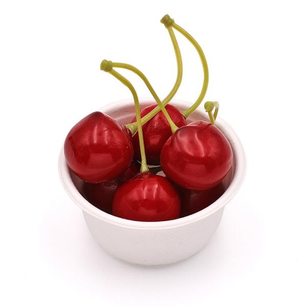 Biodegradable sugarcane salad bowls sauces tray disposable bagasse paper DIY plate mini tableware