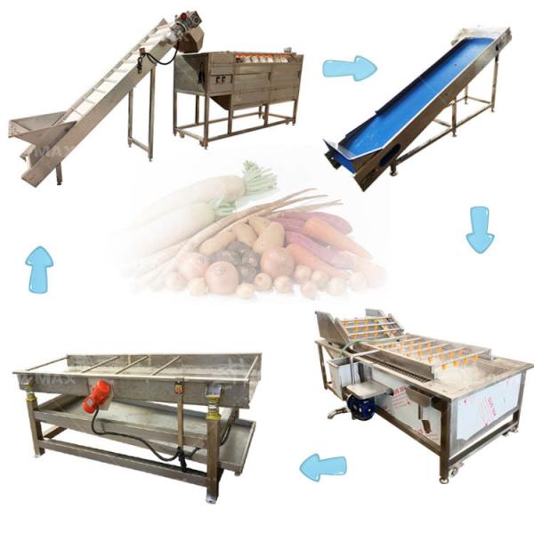Ginger Sweet Potato Cleaner for Speed Adjustable Vegetable Cleaning and Drying Line