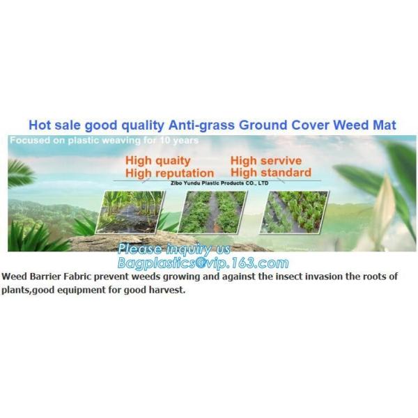 prevent insects,tree planting,agriculture protection Plastic weed barrier,weed matt Bio-degradable Agricultural PP Weed