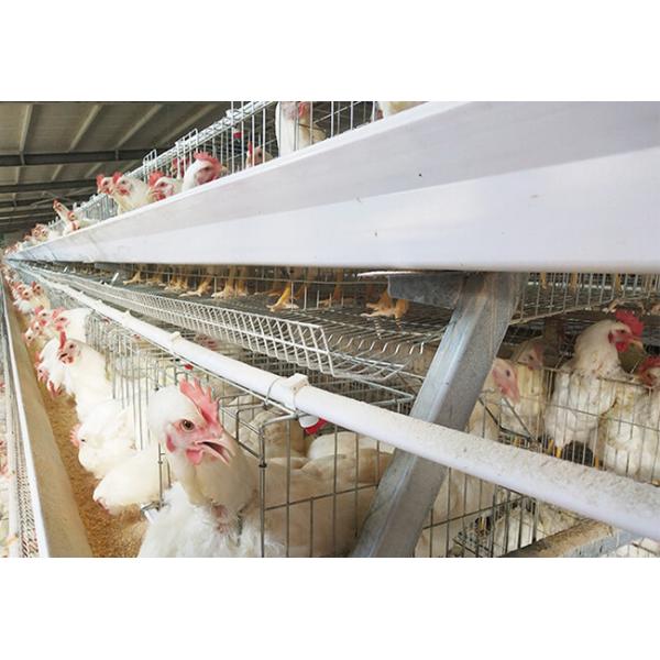 A Frame Male And Female Seperate Breeder Cage