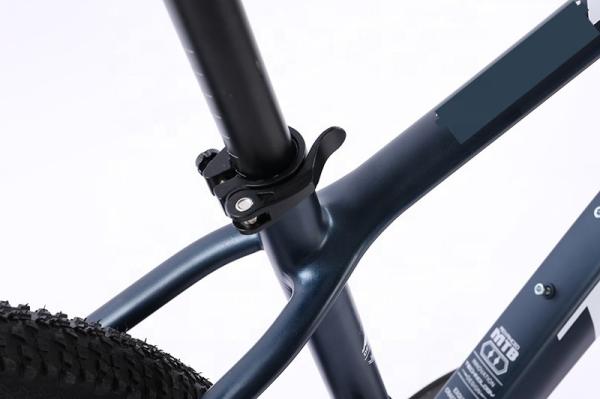 Aluminium Alloy Custom Simulated Carbon Fiber Mountain Bike for Man 29 Inch Wheel Type and SHIMANO FD-TY500 Front Derailleur