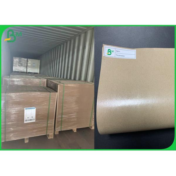 Greaseproof 140g + 15g Glossy PE Coated Kraft Paper In Roll 790mm