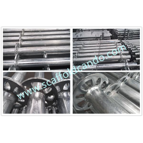 60mm OD Q235 Q345 hot dip galvanized ringlock standard vertical 3000mm 2000mm 1000mm with good quality low price