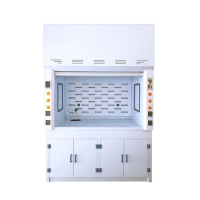 Modern Design 2024 Desktop Biosafety Cabinet Class II Biological Safety Cabinet