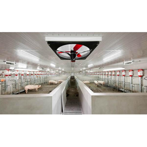 Rg-factory Wholesale Livestock Shelter Steel Prefab Cow Shed Prefabricated Pig House