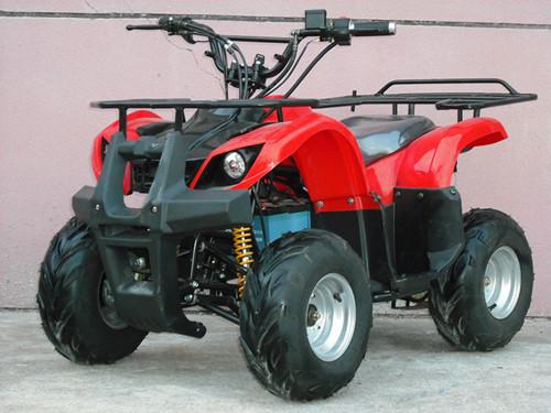 electric ATV 500w,800w,1000w. 36v(48V), 17A.Popular model,good quality