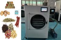 Mini séchoir à glaçons compact avec contrôle PLC et capacité polyvalente