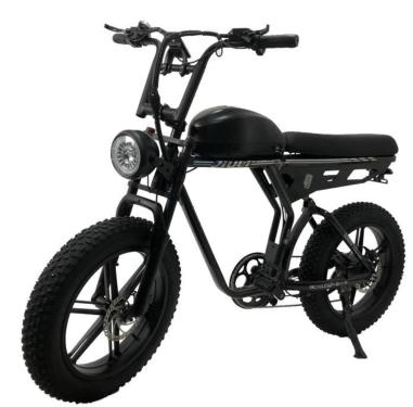 Factory Direct Fat Tire Foldable Electric Bicycle Support Retail Wholesale Customization for Adult City Commute & off-Road(V8/H9)