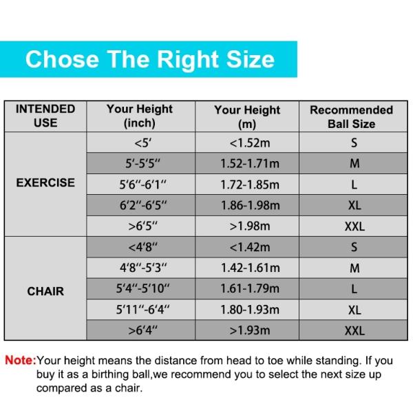 Soft PVC Anti Burst Gym Ball Bear 1000lb Weight Improve Balance Core Strength