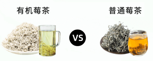 Té de Montaña Hunan Sopa Dorada Translúcida Bebida Saludable Jardín de Té Orgánico