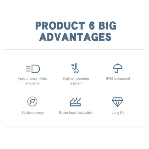 Lámpara 30W 3000-6000K IP65 600*600*390M M 5KG 140-76M M los 3-6M del jardín