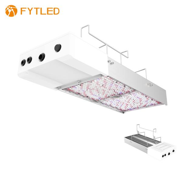 T828 800W 0-10V Dimmable LED Grow Light 5 Years Warranty For Agrotech