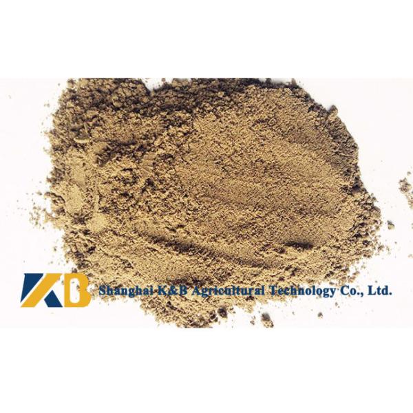 Half Fat High Protein Fish Meals Promote Animal Growth With Feed Grade