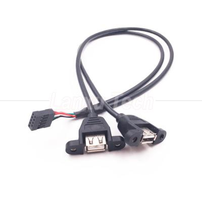Double câble USB de type A à 2 ports monté sur le panneau USB à Dupont