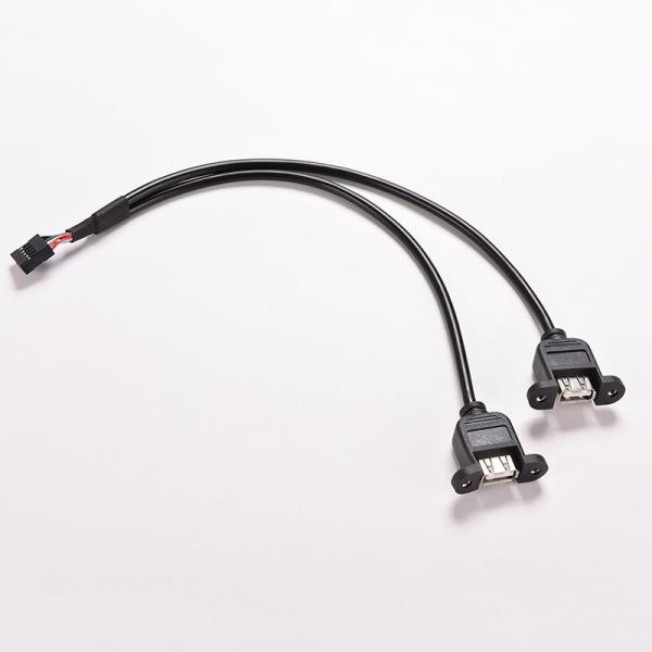 30cm Motherboard Internal 9pin Pitch 2.54mm to Dual Port USB 2.0 A Female Screw Lock Panel Mount Cable