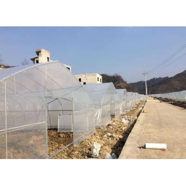 Plastic Polycarbonate Film Greenhouse Simple Structure For Planter Agriculture