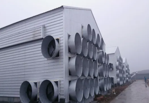 Hot-Dip Galvanized Steel Broiler Cage System with 50-Year Warranty and Automatic Feeding System for Poultry Farming
