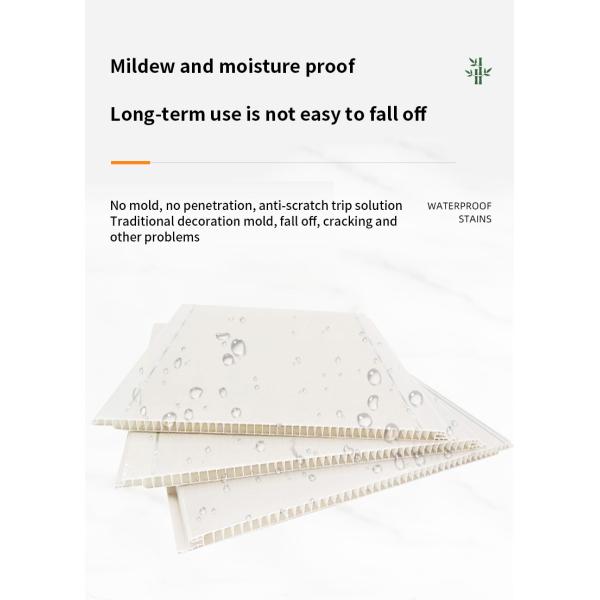 PVC Fastener Strip Ceiling Plastic Lifting for Contemporary Design Style