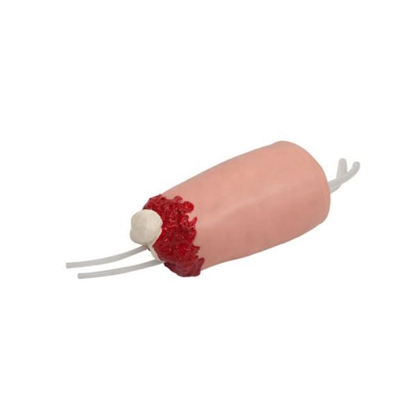 Human Life Size Lower Limb Trauma Hemostasis Training Model for Clinical Nursing Care