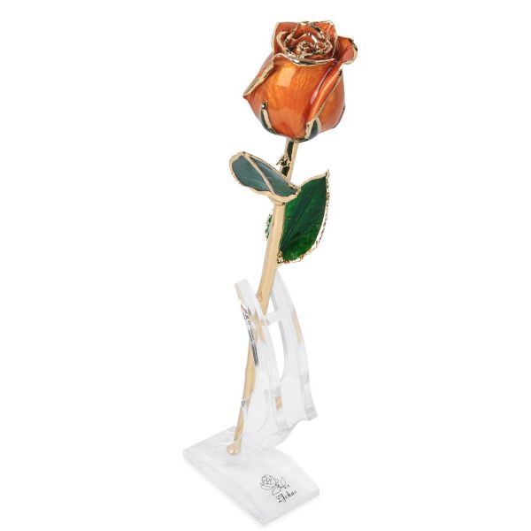 China Manufacture Supply Gold Plated Real Rose Real Flower Natural Rose for Valentine Gifts Preserved Rose